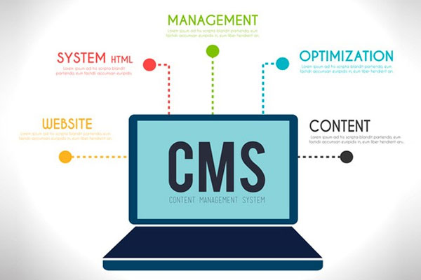 Read more about the article Langkah Awal Sebelum Membangun Blog dan Artikel PBN